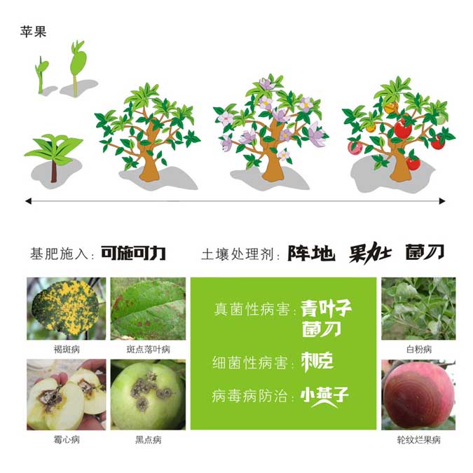 苹果绿色防控计划